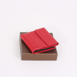 Porte-monnaie, billets, credits compact