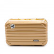Trousse Salsa bronze