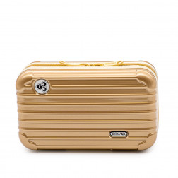 Trousse Salsa bronze