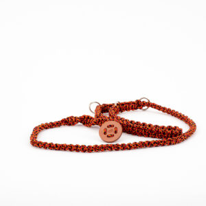Laisse et collier integré Rocabar pour grand chien – Image 1