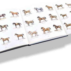 La Selle HERMES - EDITION DU COLLECTIONNEUR – Image 7
